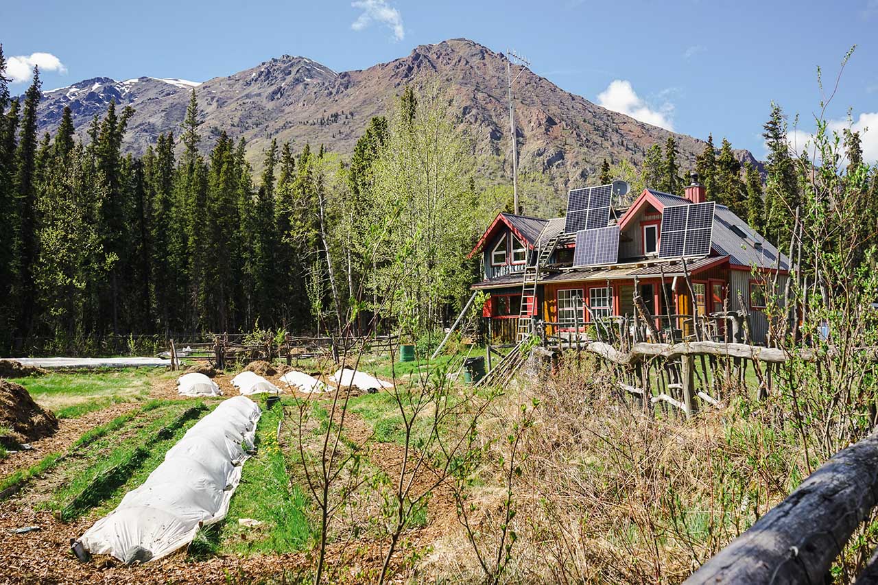 Nomadic Harvests’ Herbal Hearth